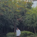泰州旅游 缩略图 3