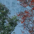 泰州旅游 缩略图 9