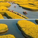 泰州旅游 缩略图 7