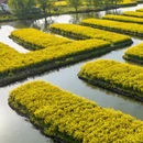 泰州旅游 缩略图 9