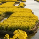 泰州旅游 缩略图 8