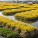 泰州旅游 缩略图 6