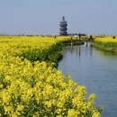扬州旅游 缩略图 1