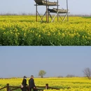 扬州旅游 缩略图 7