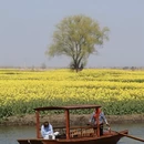 扬州旅游 缩略图 3