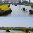 扬州旅游 缩略图 5