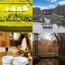 泰州旅游 缩略图 1