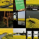 扬州旅游 缩略图 1
