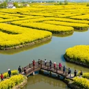 泰州旅游 缩略图 3