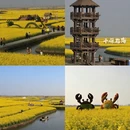 扬州旅游 缩略图 9