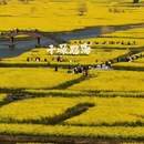 扬州旅游 缩略图 2