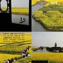 扬州旅游 缩略图 5