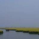 扬州旅游 缩略图 1