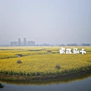 扬州旅游 缩略图 2