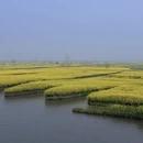扬州旅游 缩略图 5