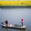 扬州旅游 缩略图 6