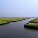 扬州旅游 缩略图 3