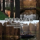 泰州旅游 缩略图 3