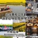泰州旅游 缩略图 1