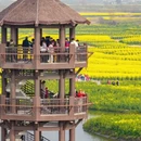 扬州旅游 缩略图 3
