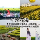 泰州旅游 缩略图 2