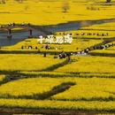 泰州旅游 缩略图 2