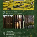泰州旅游 缩略图 5