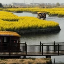 泰州旅游 缩略图 8