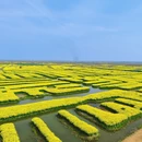扬州旅游 缩略图 2