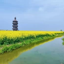扬州旅游 缩略图 3