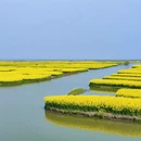 扬州旅游 缩略图 5