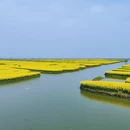 扬州旅游 缩略图 9