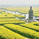扬州旅游 缩略图 8