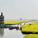 扬州旅游 缩略图 2