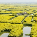 扬州旅游 缩略图 9