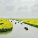 扬州旅游 缩略图 10