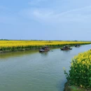 扬州旅游 缩略图 8