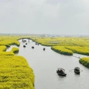 扬州旅游 缩略图 11