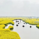 扬州旅游 缩略图 15