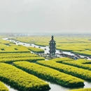 扬州旅游 缩略图 18