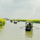 扬州旅游 缩略图 13