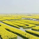 扬州旅游 缩略图 17