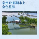 泰州旅游 缩略图 1