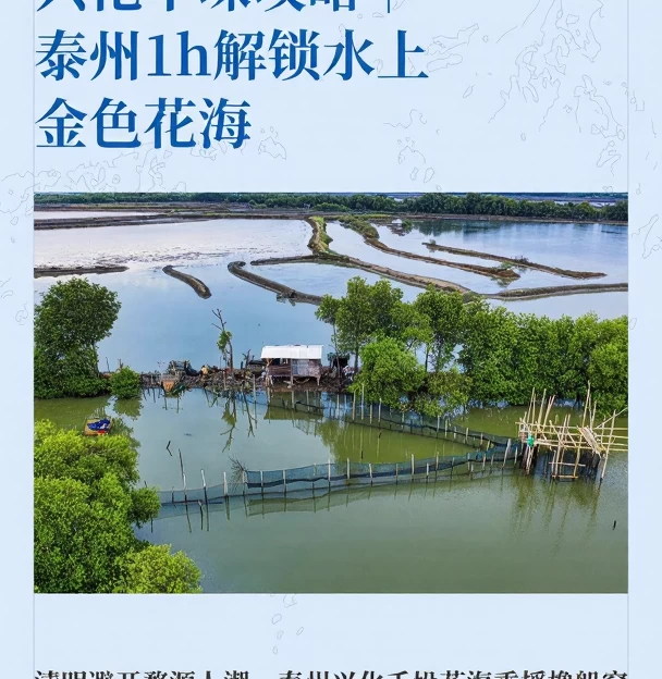 泰州旅游 1