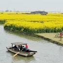 扬州旅游 缩略图 14