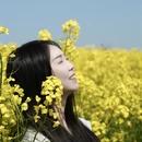 扬州旅游 缩略图 6