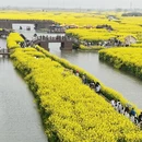 扬州旅游 缩略图 16