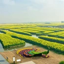 扬州旅游 缩略图 2