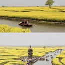 无锡旅游 缩略图 8