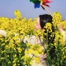 扬州旅游 缩略图 3